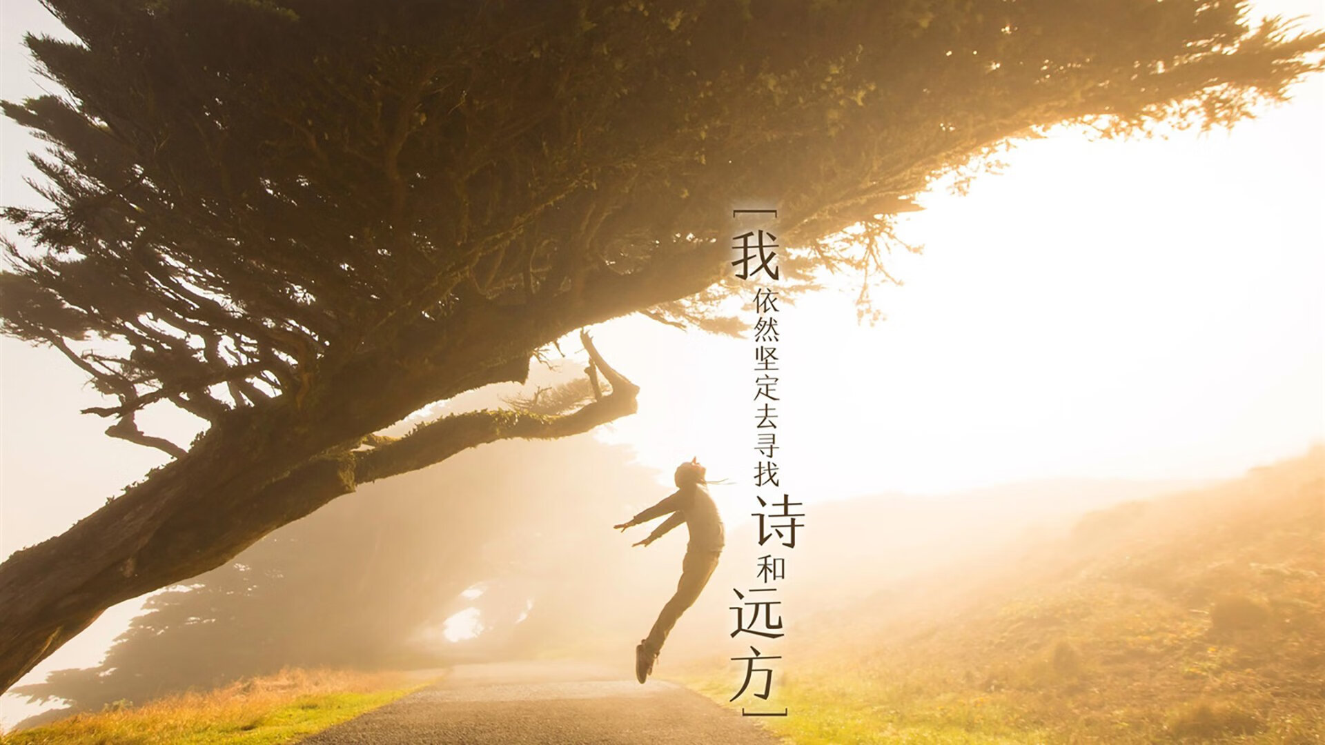 开云官方网站-“史上最牛封盖：联盟封堵王者合集”，lol封锁