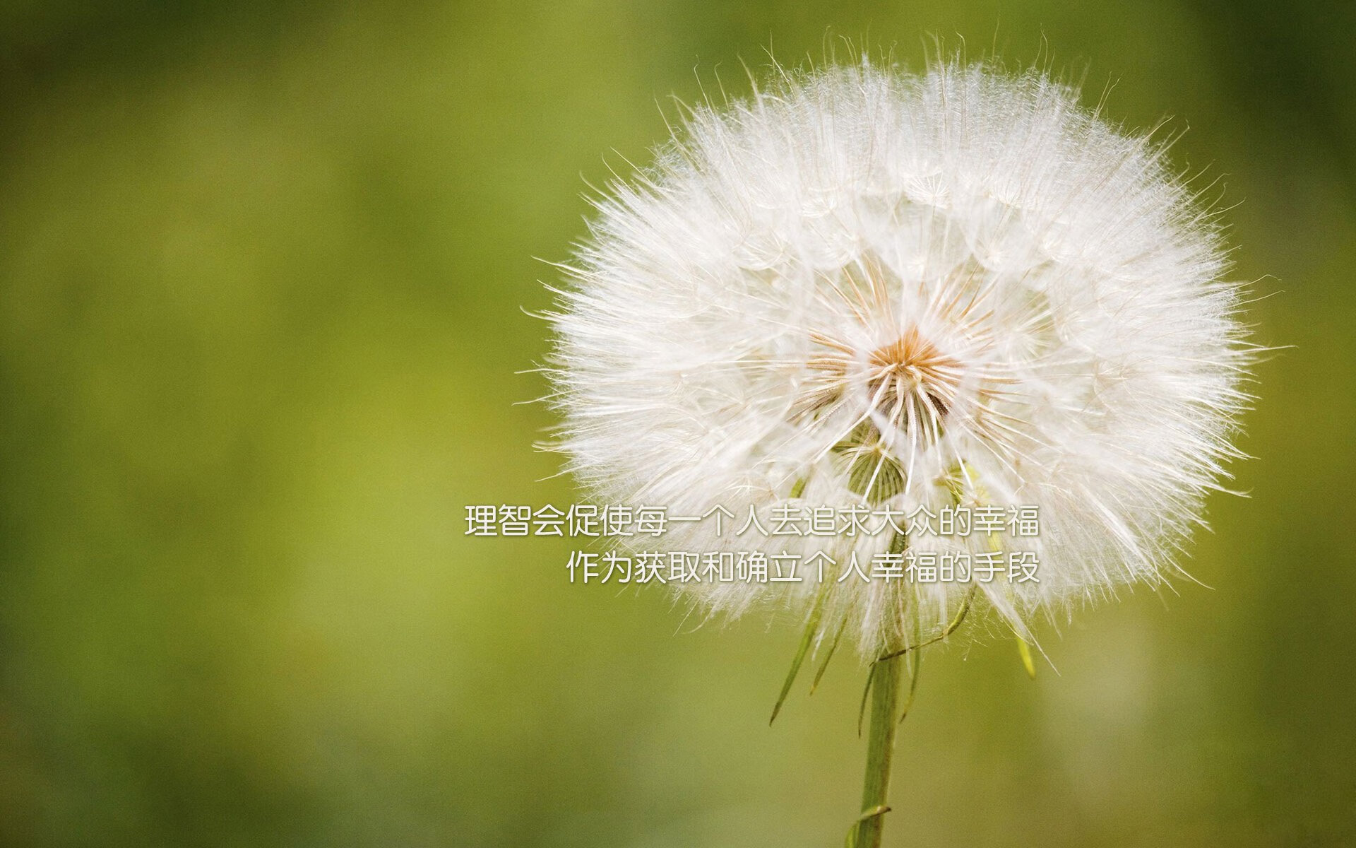 【马克·塞尔比】防守专家的职业生涯与战术演变，塞尔比防守集锦